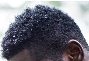 The side view of a tapered black, super curly 4C haircut for men.